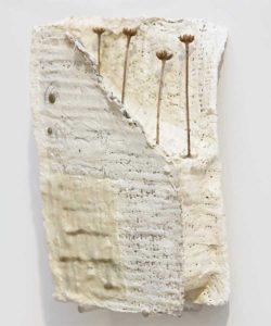spernazza14