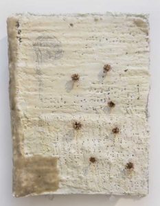 spernazza16