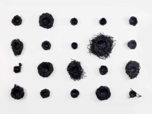 tracce28
