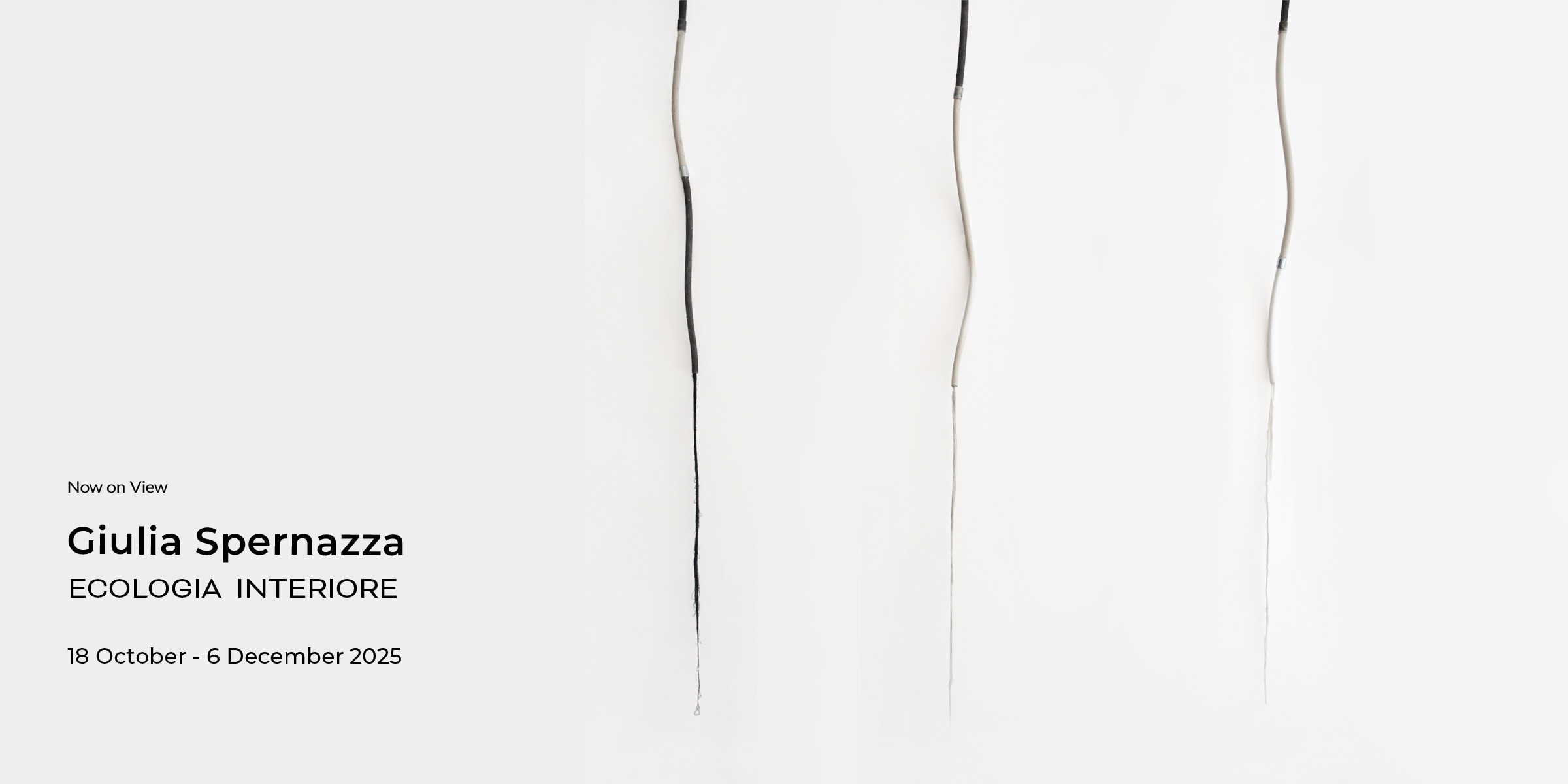 top-spernazza-pc01