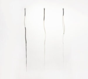 ECOLOGIA-01