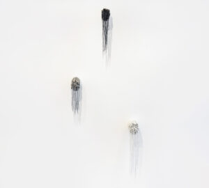 ECOLOGIA-012