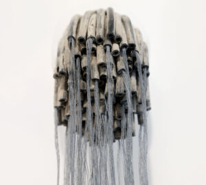 ECOLOGIA-017