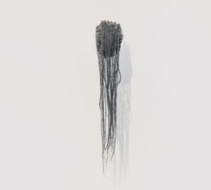 ECOLOGIA-018