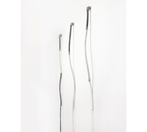 ECOLOGIA-02
