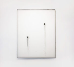 ECOLOGIA-021