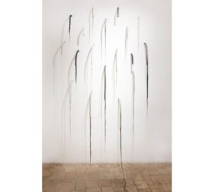 ECOLOGIA-026