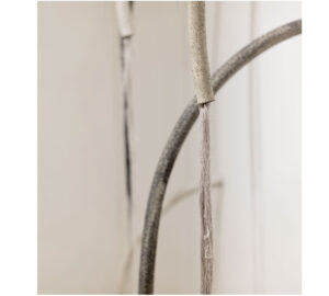 ECOLOGIA-027