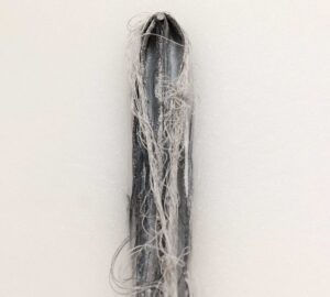 ECOLOGIA-029