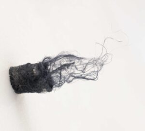 ECOLOGIA-05