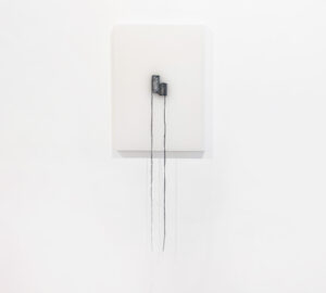 ECOLOGIA-08