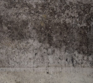 Ghezzi work 03_1