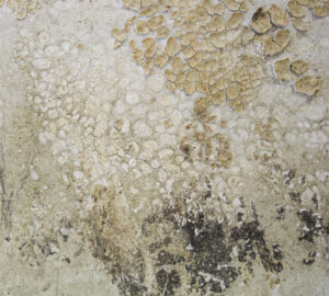 Ghezzi work 08_1